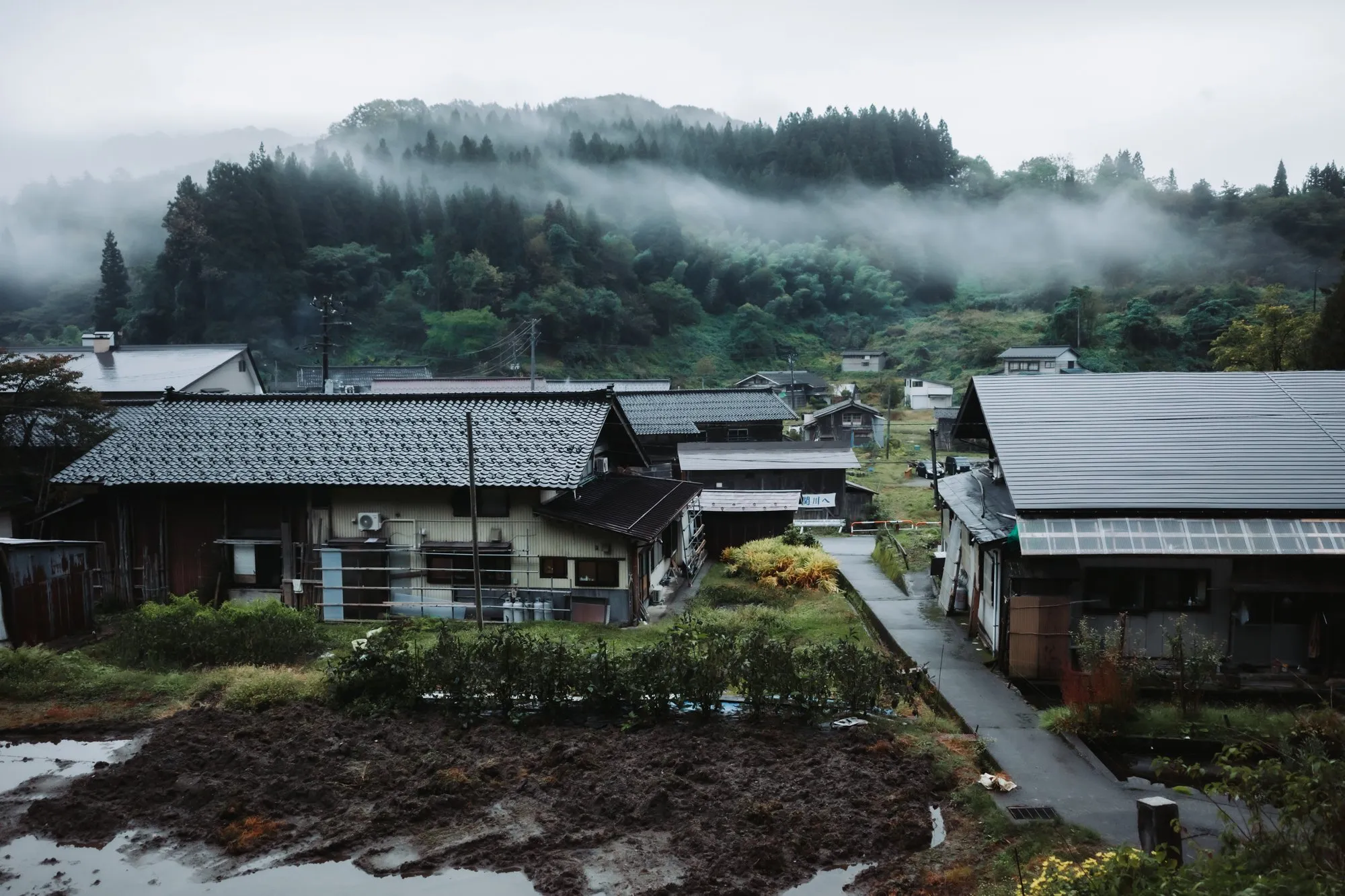 霧のかかった山なみと関川の家並み(2025年10月撮影)