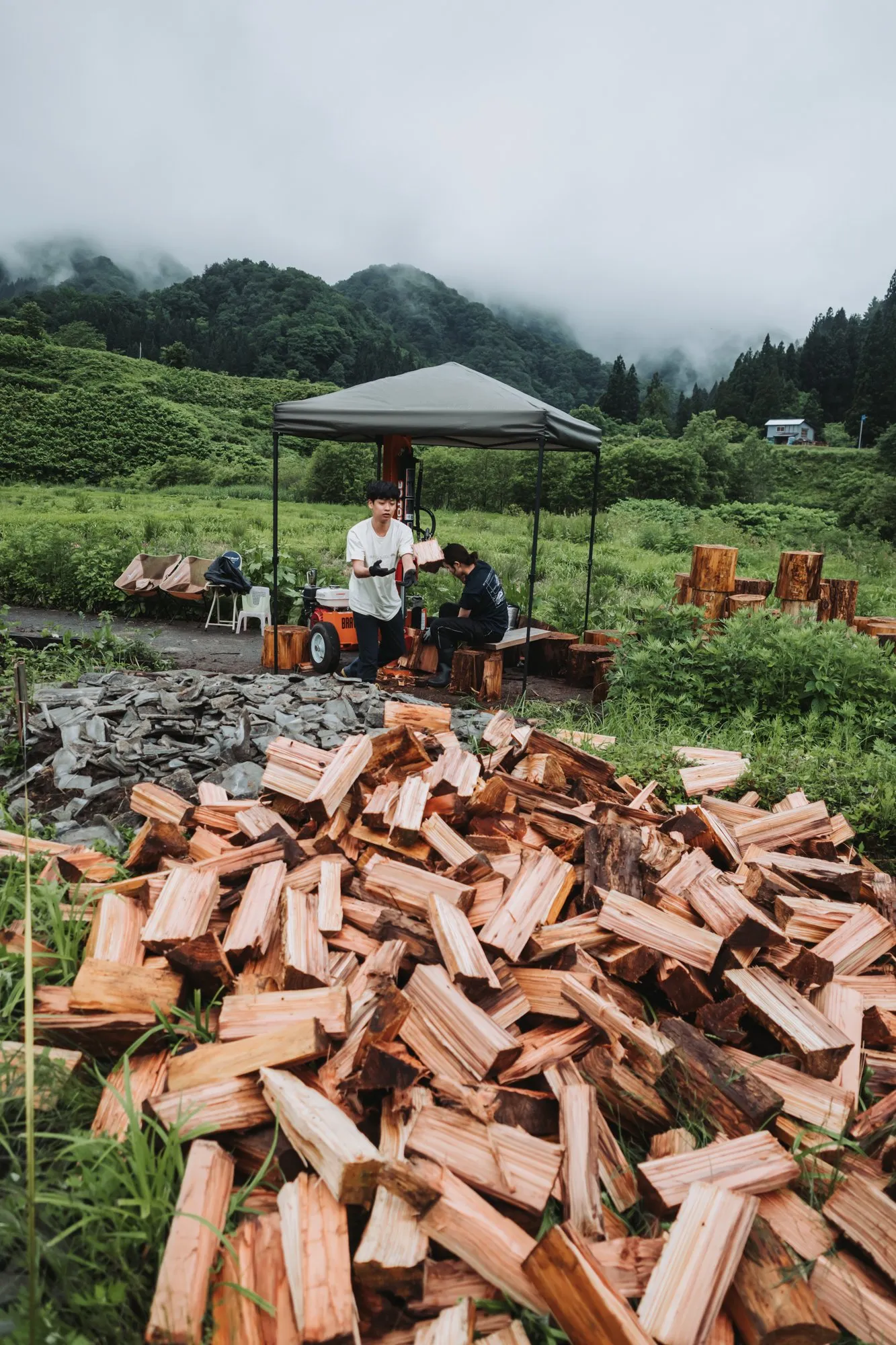山を背に、割った薪が積み上がる作業場のようす(2025年6月撮影)